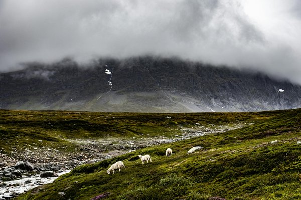 Quelles sont les meilleures pratiques pour camper en zone de désert en automne?